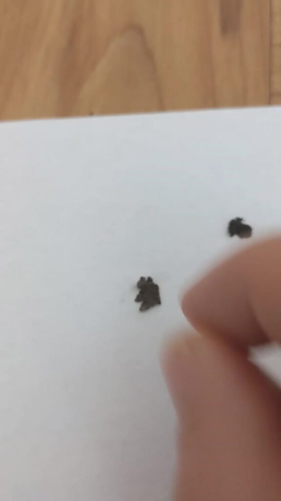 What Is A Good EER Rating For An Air Conditioner Ultimate Guide AC